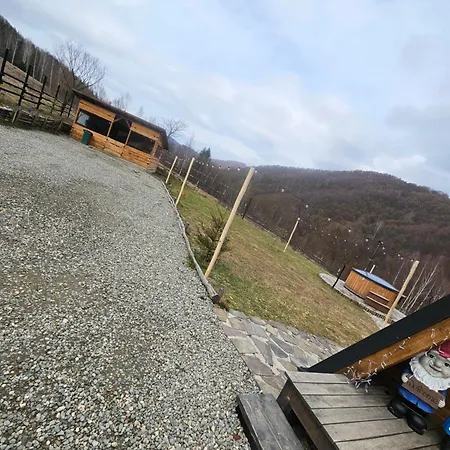 La Lui Matei Brašov